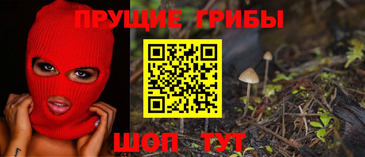 Псилоцибиновые грибы GOLDEN TEACHER  Вход с VPN  что такое   Псилоцибиновые грибы Magic Shrooms  Домодедово 